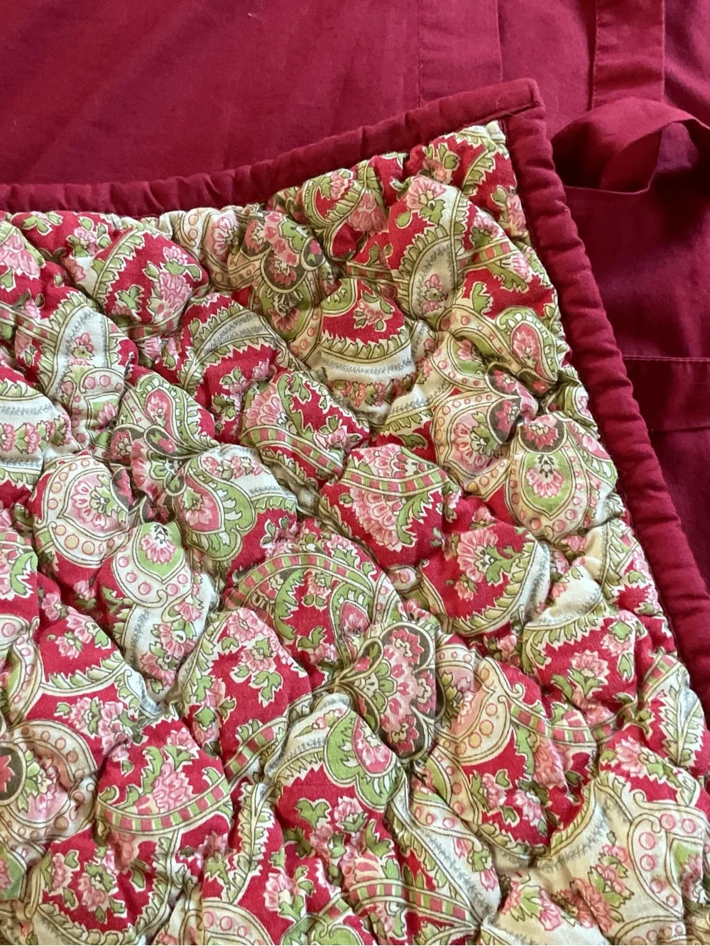 2 Pottery Barn Georgia Quilted Paisley Vintage 2005s Pillow Shams Standard
